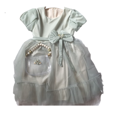 Girls Party Dress with Nude Purse